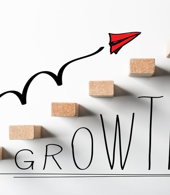 Growth Strategy